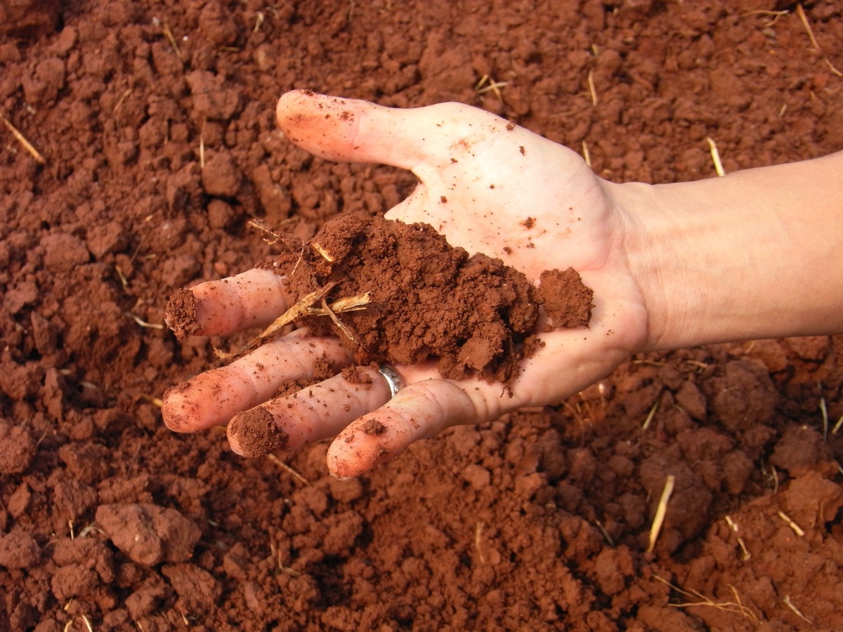 улучшение почвы на садовом участке