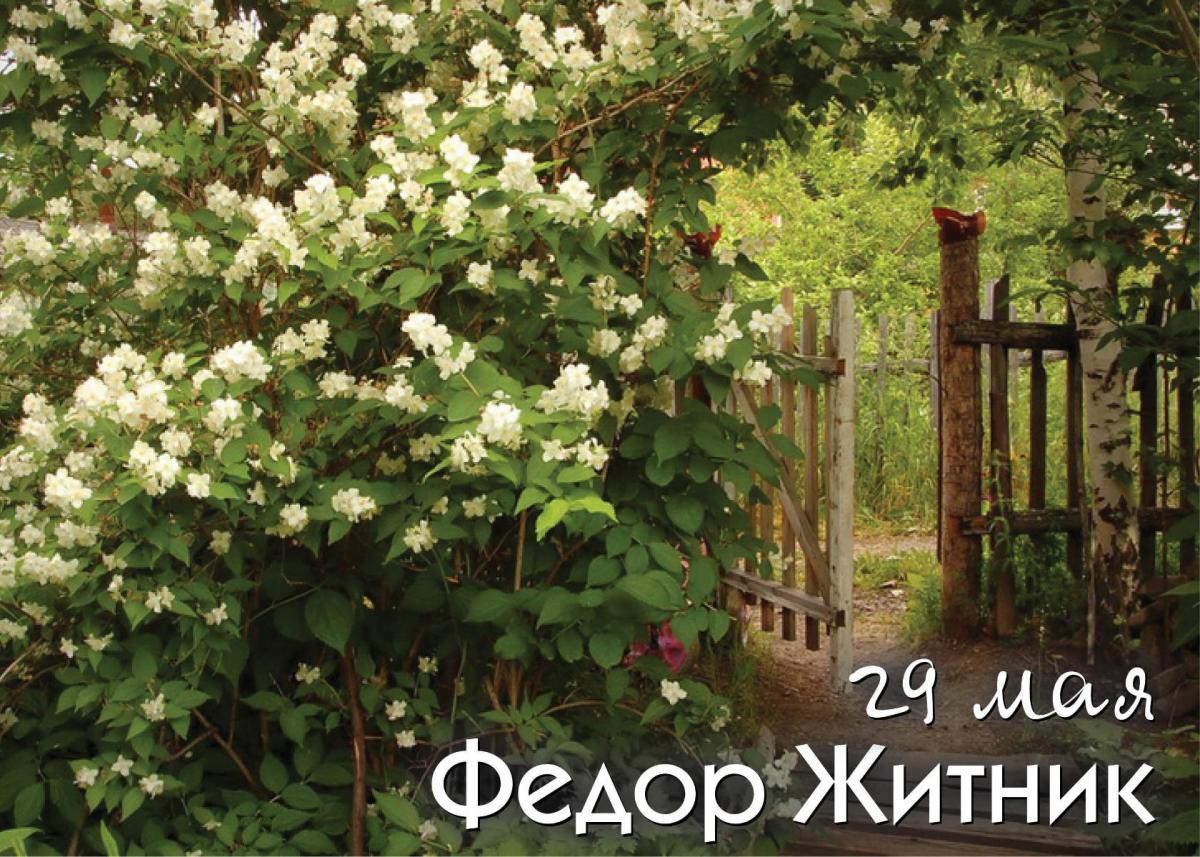 29 мая - Фёдор Житник 29 мая - Фёдор Житник