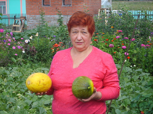 Вот такие у нас в Омске вырастают дыни.