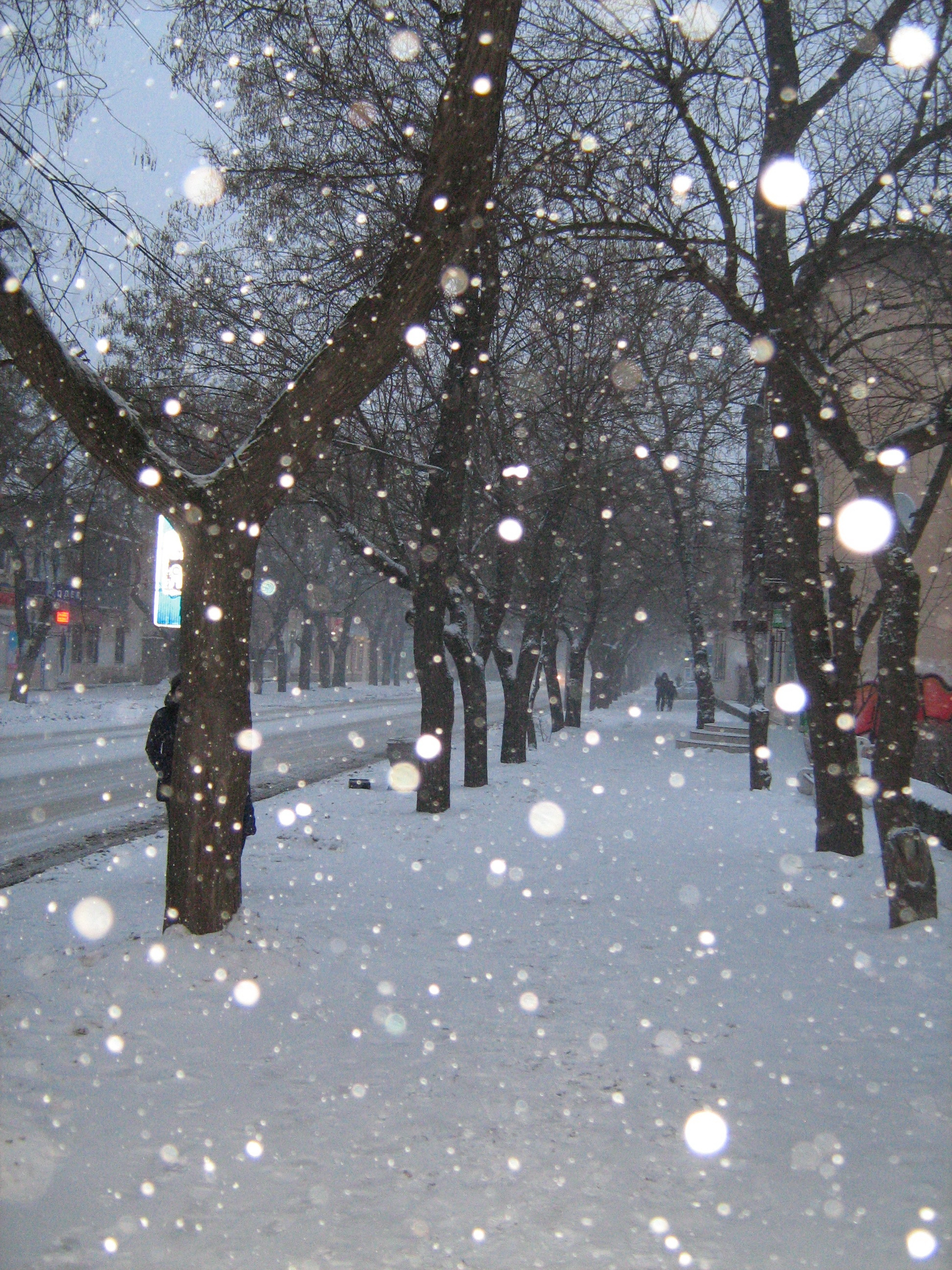 Падает снег город. Снег идет. Красивый снегопад. Падающий снег. Зима снегопад.