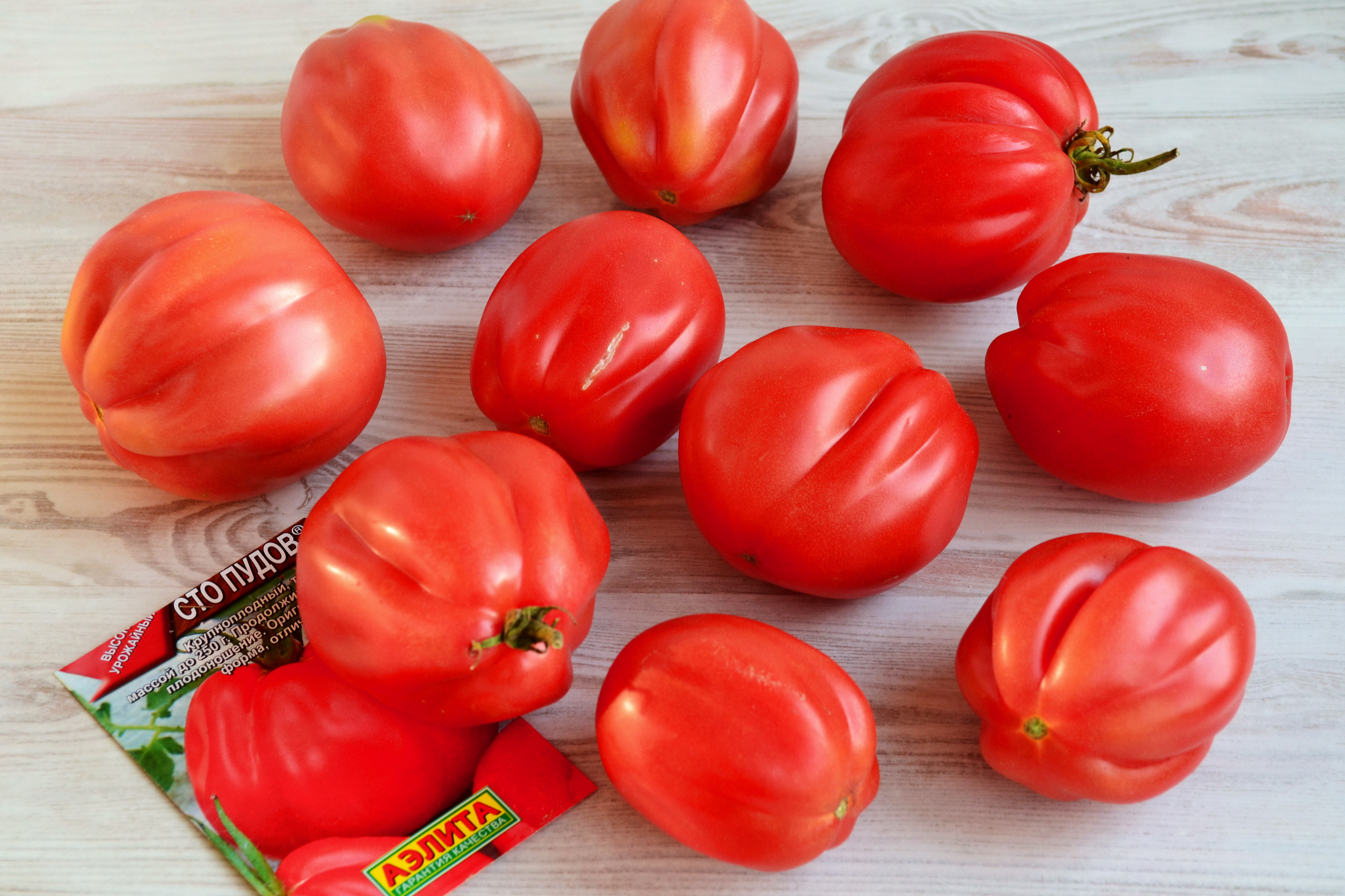 сто пудов томат фото