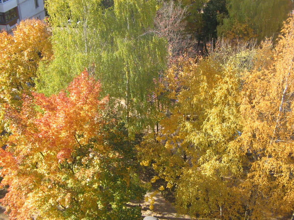 Листья жёлтые над городом кружатся 70 года