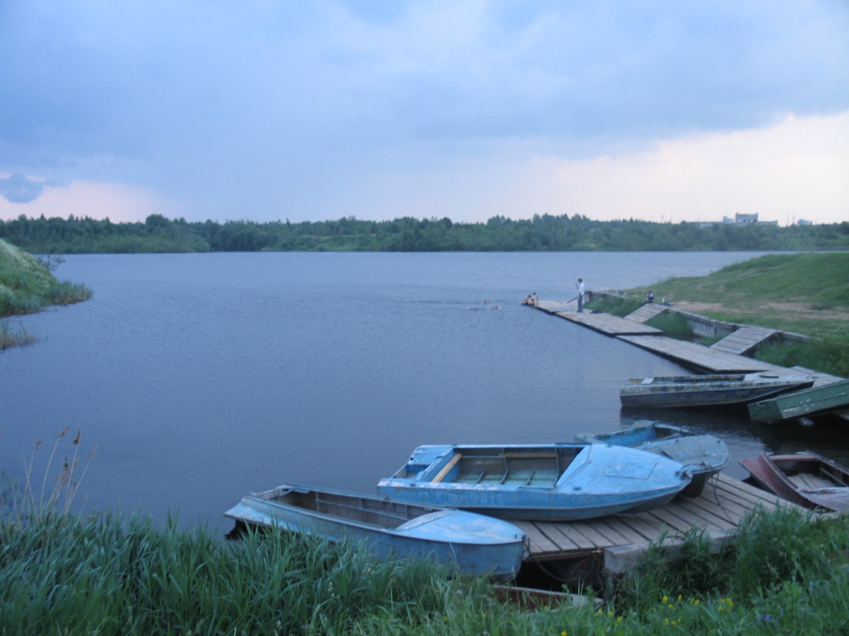 Дедовичи фото поселка