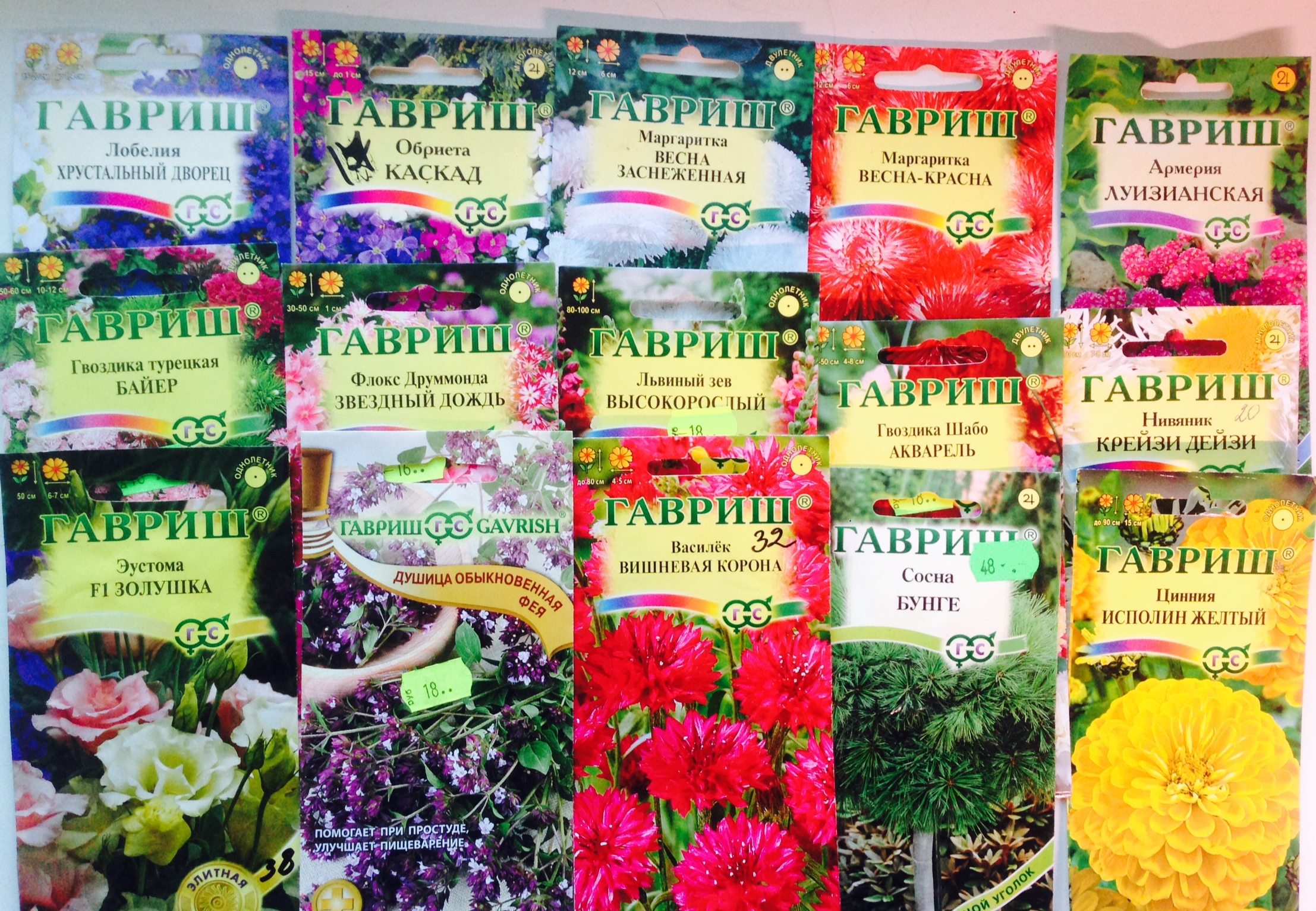 Купить семена цветов почтой в беларуси семена марихуаны донецк