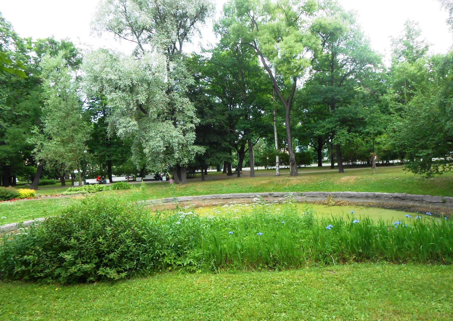 Старый парк барановичи