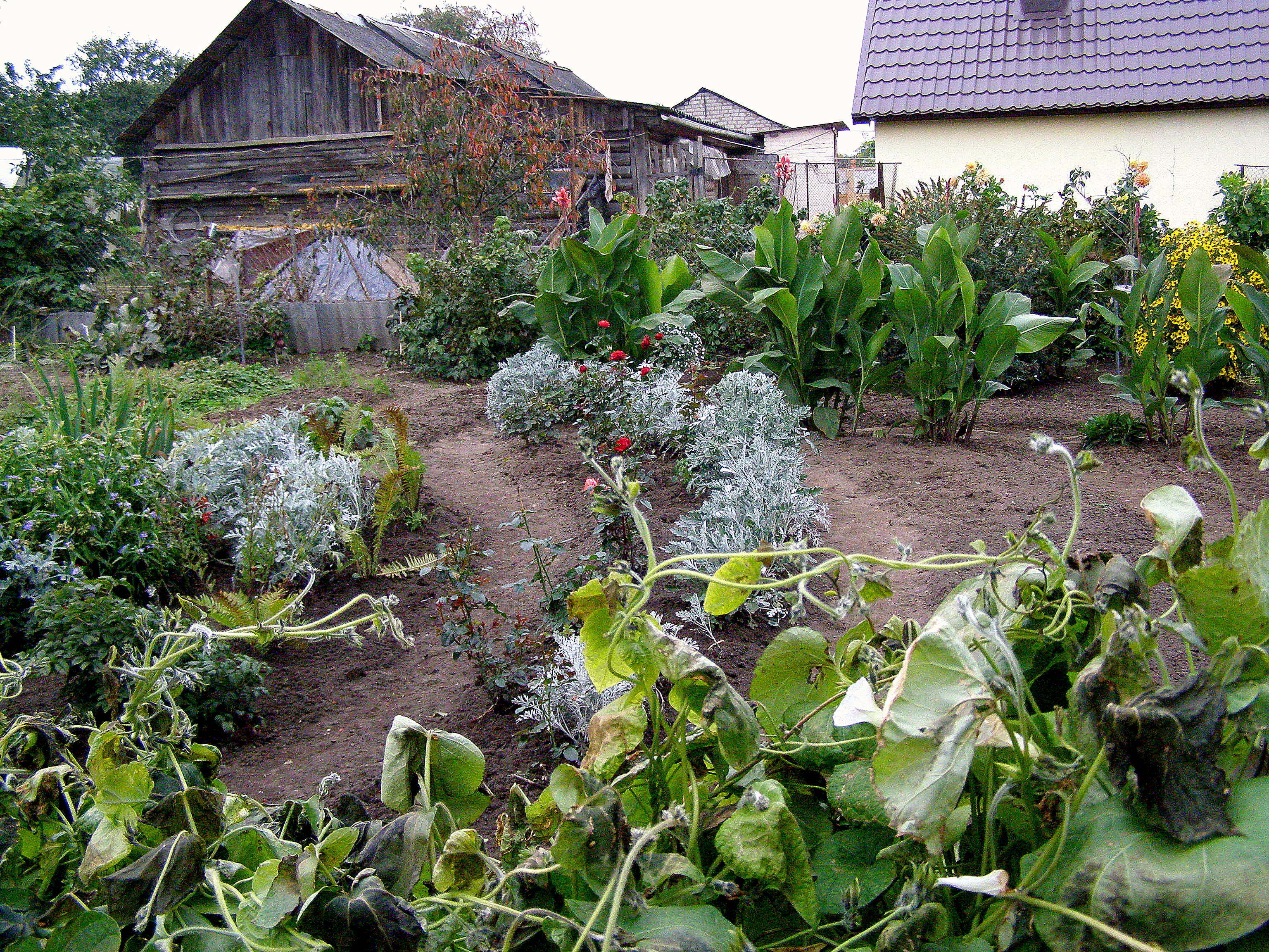 Фото огородов в деревне