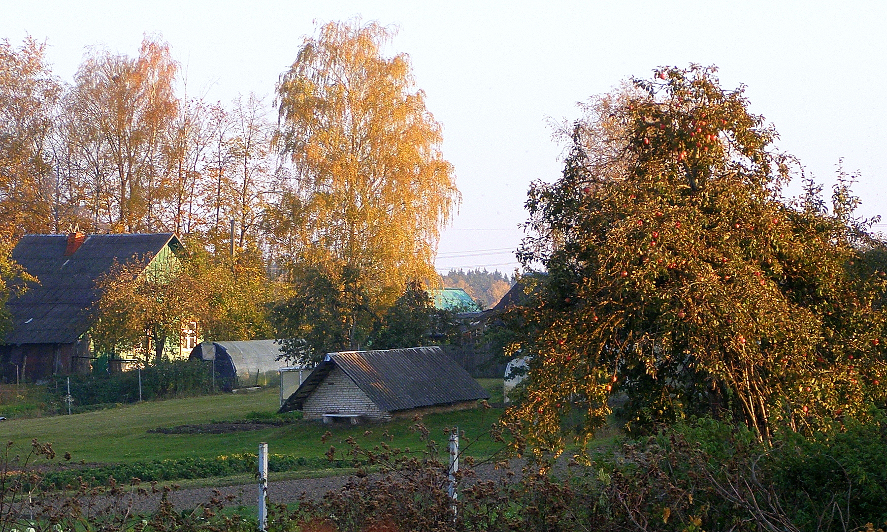 фото осень в русской деревне