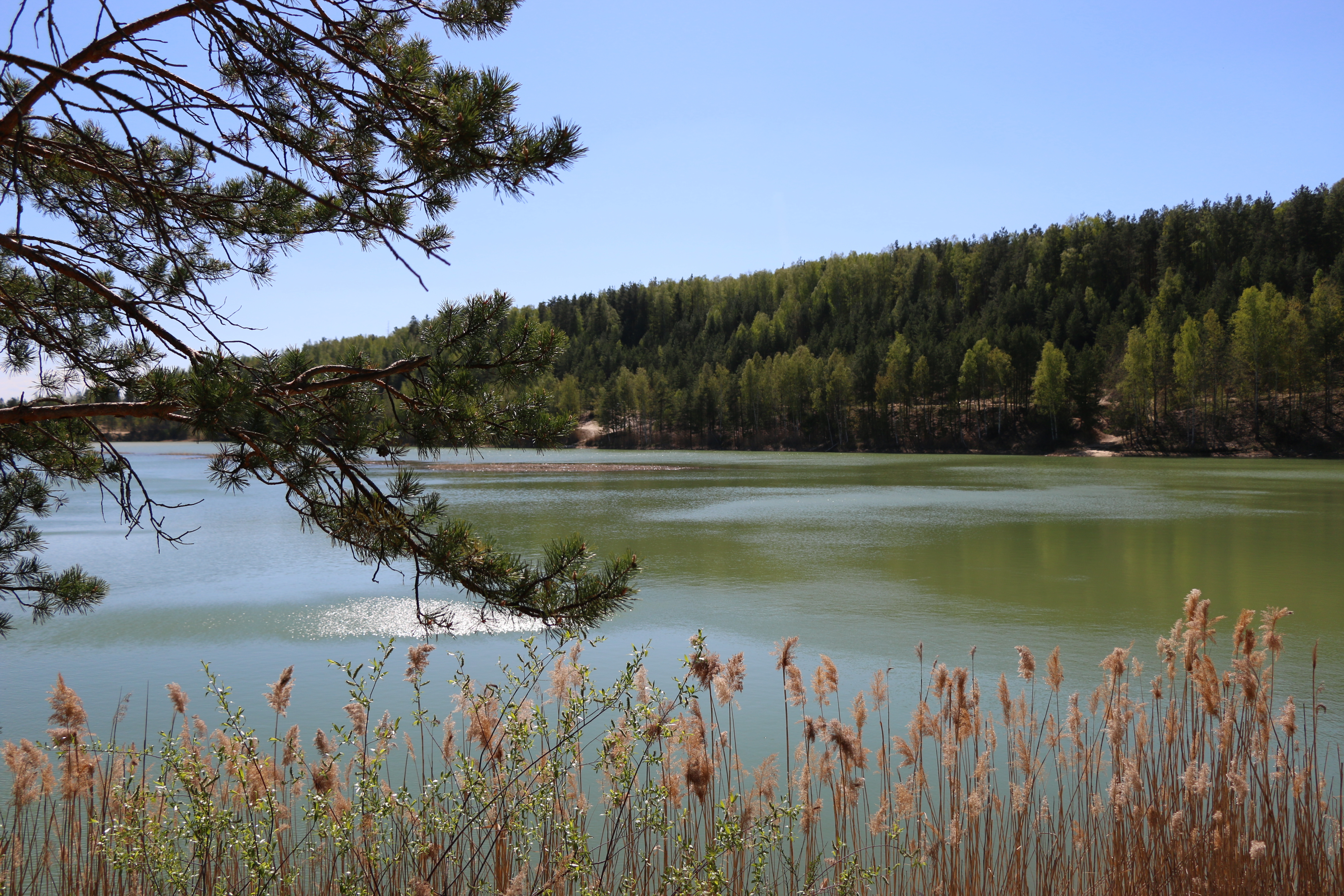 Зеленое озеро дмитровский район