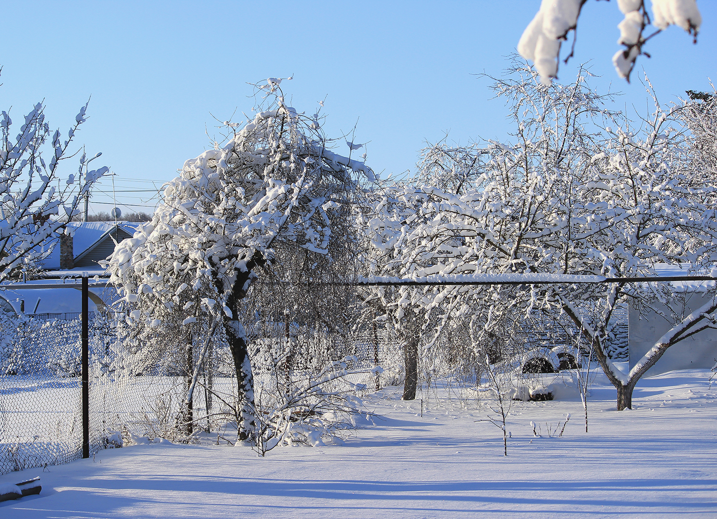 Зимний сад архангельск