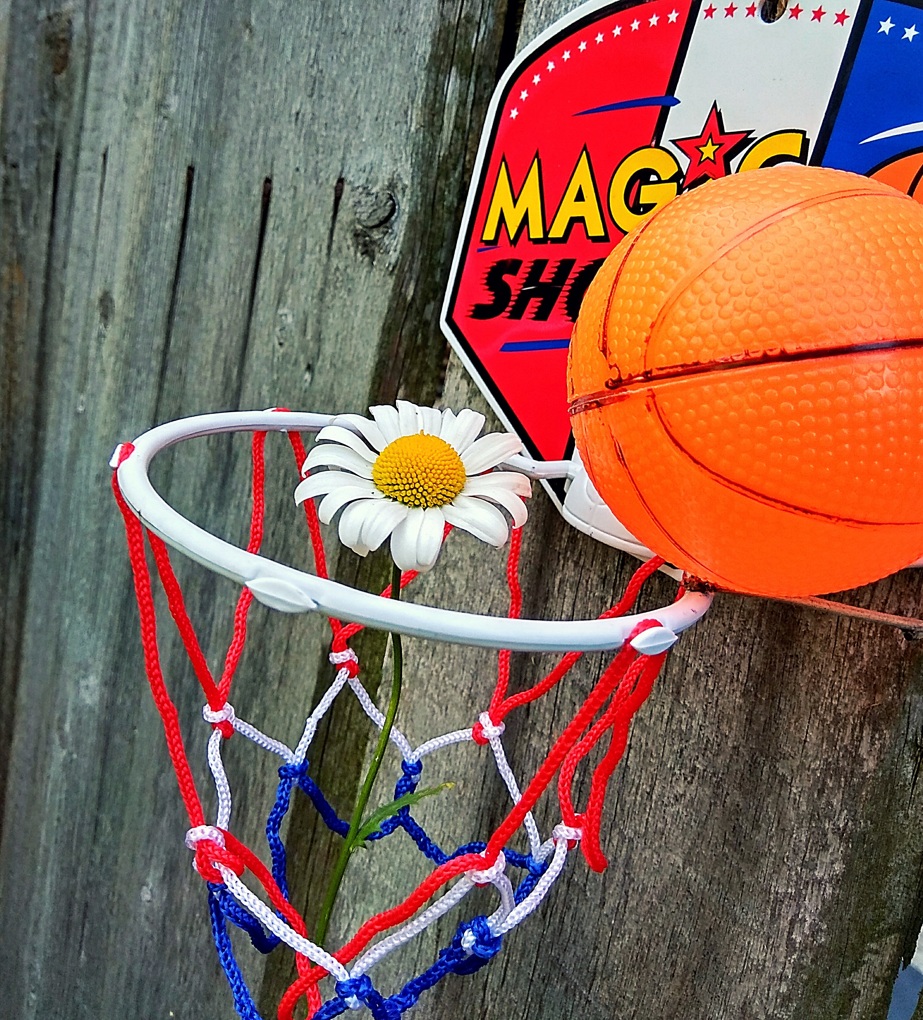 Спортивный мяч в баскетболе. Букет баскетбольный мяч. Цвет баскетбольного мяча. Букетик в баскетбольном мяче. Баскетбольный мяч с цветами.
