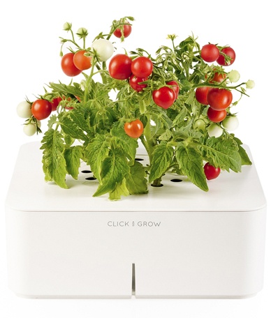 Click &amp;amp; Grow: электроника в садоводстве